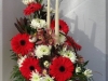 'Christmas Coral'