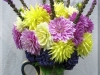 Dazzling Dahlias