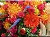 Harvest Medley