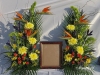 Tropical Tribute