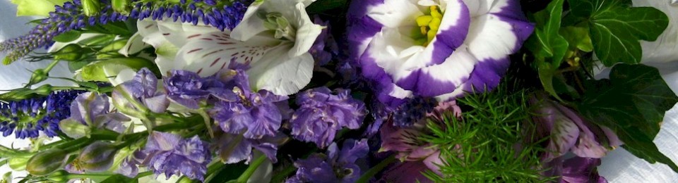 Flowers rich in beauty and in every hue, are little bits of heaven; fine gems from me to you. – Barb Konrad Flowers rich in beauty and in every hue, are little bits of heaven; fine gems from me to you. – Barb Konrad