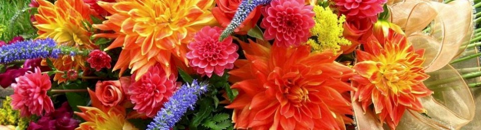 Life is the flower for which love is the honey. – Victor Hugo Life is the flower for which love is the honey. – Victor Hugo