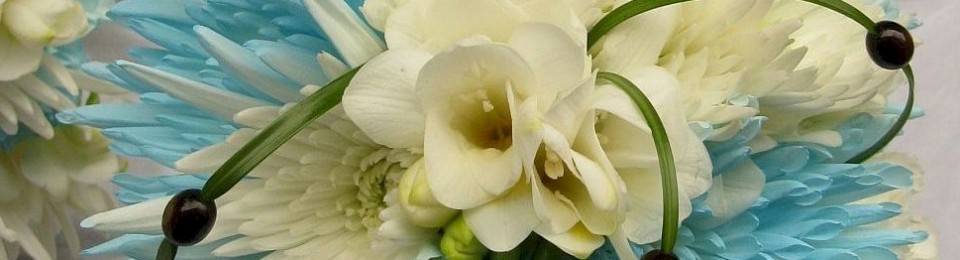 Pleasure is the flower that passes; remembrance, the lasting perfume. – Jean de Bouffles Pleasure is the flower that passes; remembrance, the lasting perfume. – Jean de Bouffles