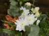 Orange & White Combo ~ Spray Roses With Mums & Alstroemeria